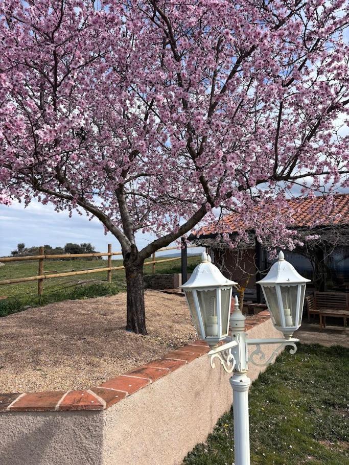 Casa Rural Explora, Pastores エクステリア 写真